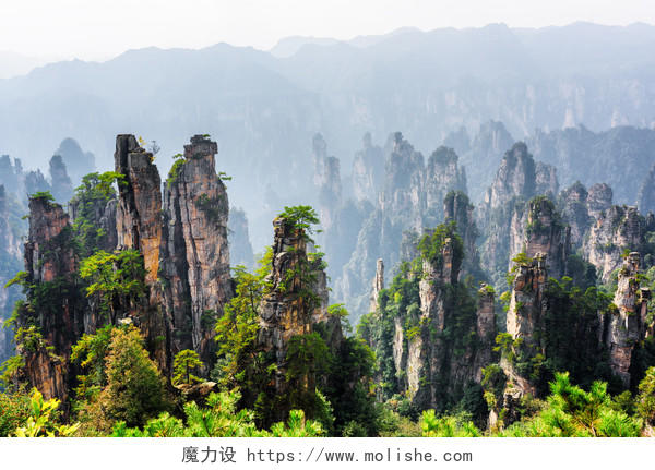 中国湖南省张家界国家森林公园的天然石英砂岩支柱的惊人观点张家界旅游湖南旅游